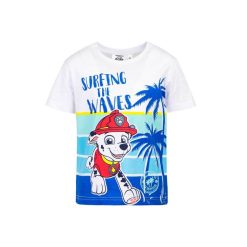 Tricou baieti - Surfing the Waves - albastru-BAIETI/IMBRACAMINTE/Tricouri si maiouri-IMBRACAMINTE/Tricouri si maiouri