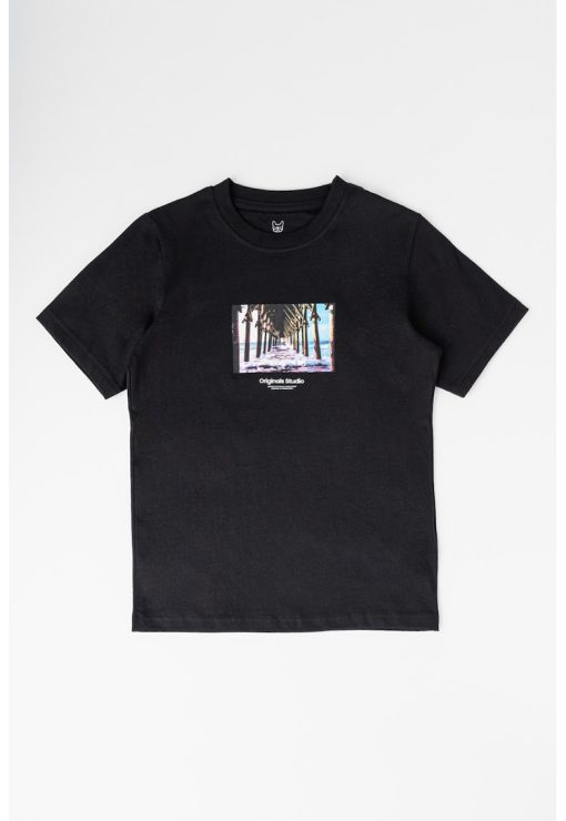 Tricou de bumbac cu model grafic-BAIETI/IMBRACAMINTE/Tricouri si maiouri-IMBRACAMINTE/Tricouri si maiouri