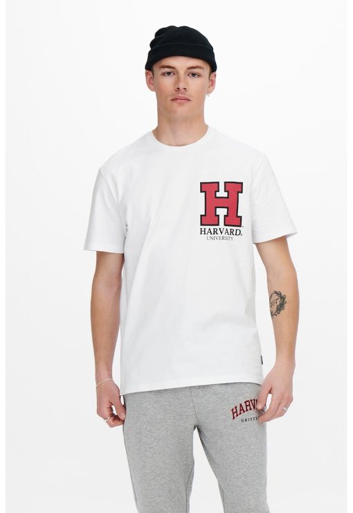 Tricou regular fit cu imprimeu-BARBATI/IMBRACAMINTE/Tricouri si maiouri-IMBRACAMINTE/Tricouri si maiouri