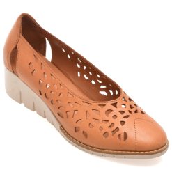Pantofi FLAVIA PASSINI maro
