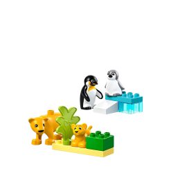 Penguins lions 10442 1