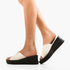 Saboti dama Nasreen Albi 2