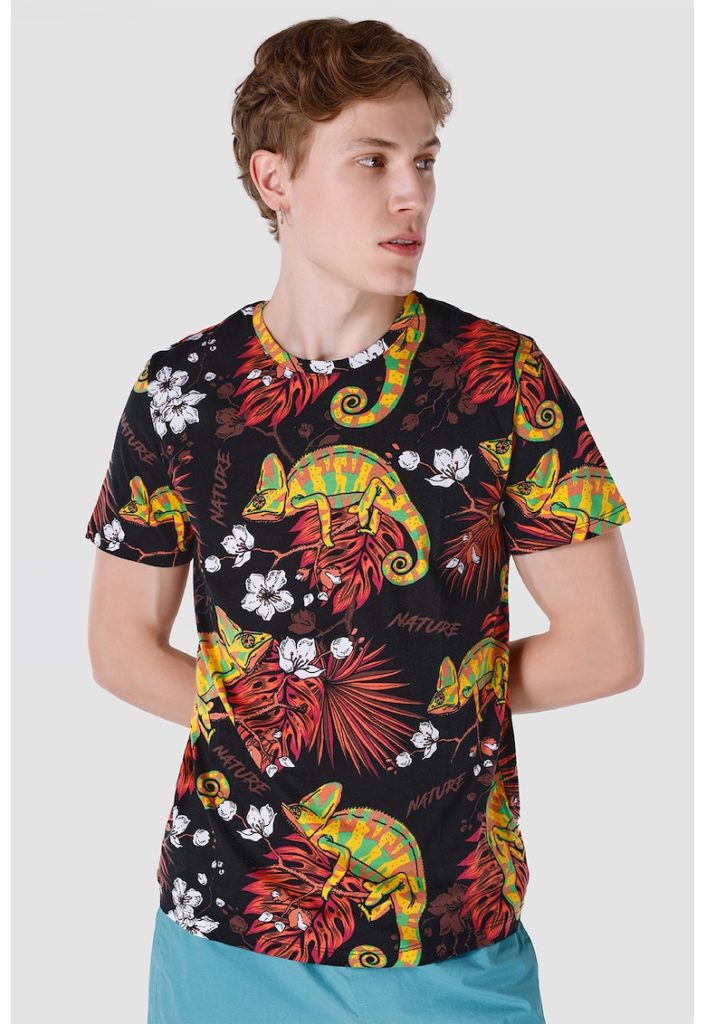 Tricou cu decolteu la baza gatului si model grafic-BARBATI/IMBRACAMINTE/Tricouri si maiouri-IMBRACAMINTE/Tricouri si maiouri