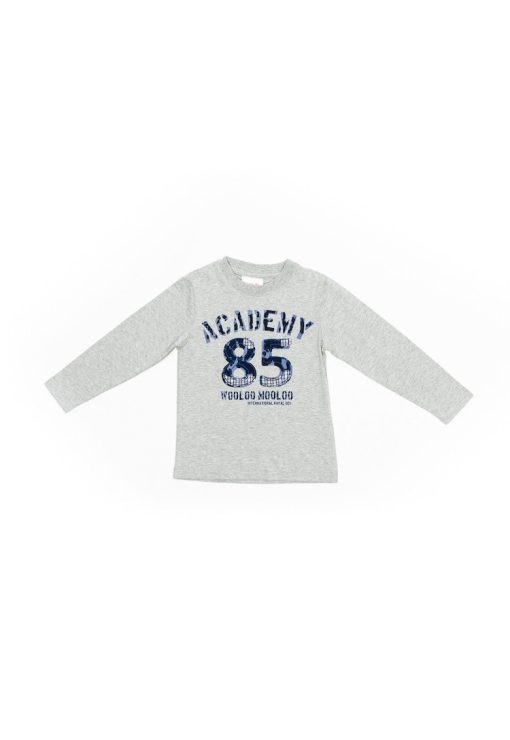 Bluza cu imprimeu - Academy - baieti - 34720 - Gri --BAIETI/IMBRACAMINTE/Bluze-IMBRACAMINTE/Bluze