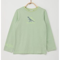 Bluza de bumbac cu decolteu la baza gatului si imprimeu dinozaur-BAIETI/IMBRACAMINTE/Bluze-IMBRACAMINTE/Bluze