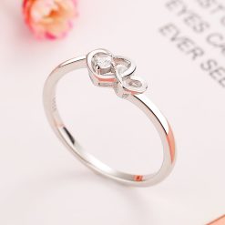 model inima si infinit