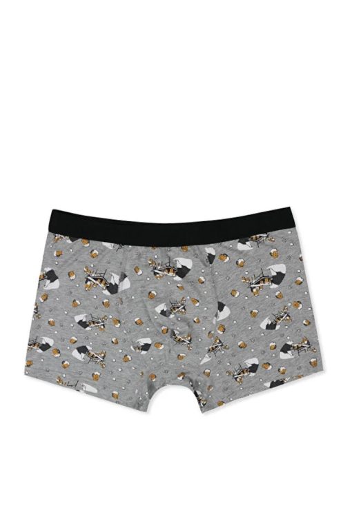 Lenjerie Intima De Barbati Gri Modern Fit Cl1065392-BARBATI/IMBRACAMINTE/Lenjerie intima-IMBRACAMINTE/Lenjerie intima