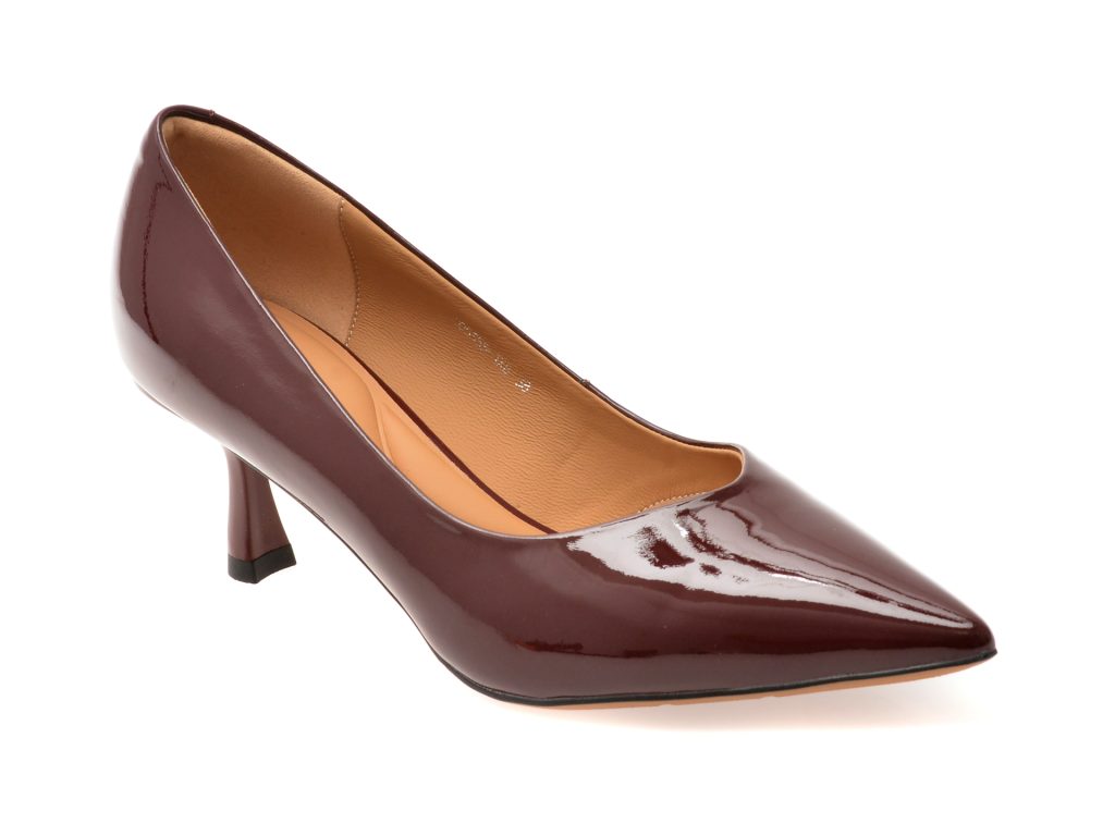 Pantofi eleganti EPICA visinii