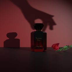 apă de parfum + loțiune de corp + mini parfum-Pachete promo