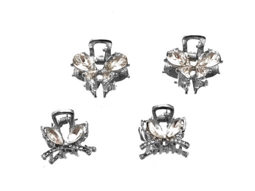 Accesorii par ALDO argintii