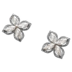 Cercei ALDO argintii