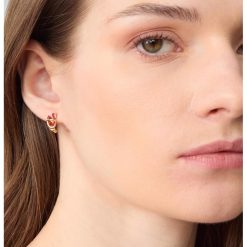 Cercei cu aplicatii-FEMEI/GENTI SI ACCESORII/Bijuterii-GENTI SI ACCESORII/Bijuterii