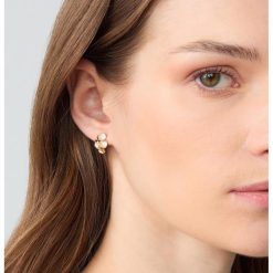 Cercei cu aplicatii-FEMEI/GENTI SI ACCESORII/Bijuterii-GENTI SI ACCESORII/Bijuterii