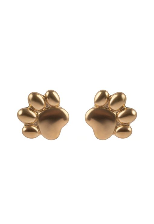 Cercei cu tija - in forma de labute - placati cu aur de 18K-FEMEI/GENTI SI ACCESORII/Bijuterii-GENTI SI ACCESORII/Bijuterii