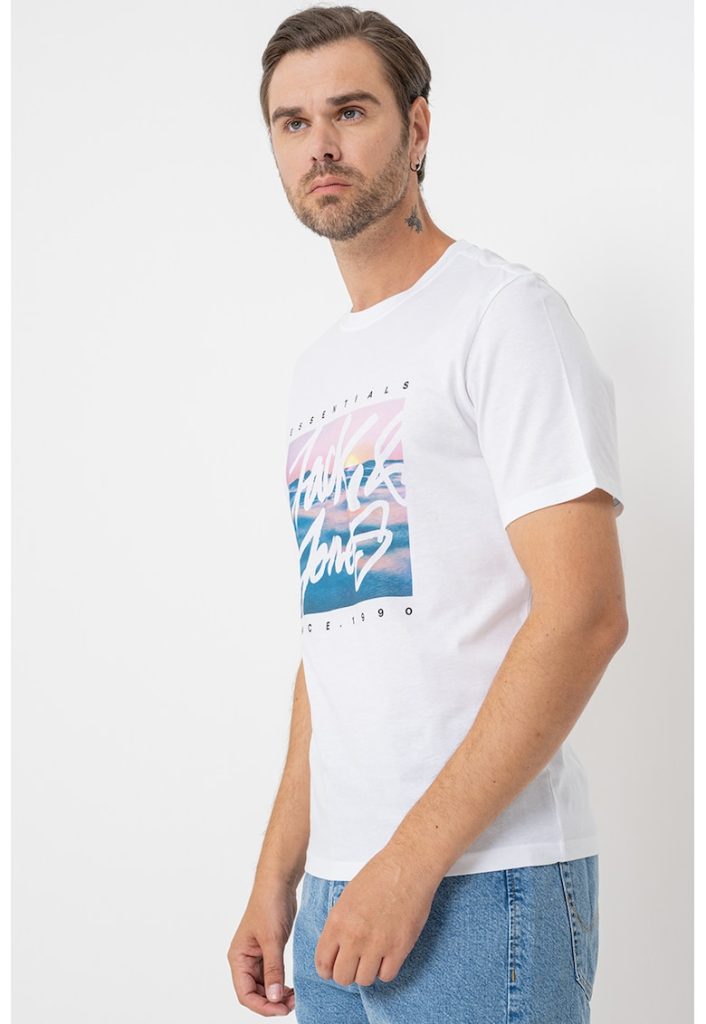 Tricou cu imprimeu Colton-BARBATI/IMBRACAMINTE/Tricouri si maiouri-IMBRACAMINTE/Tricouri si maiouri