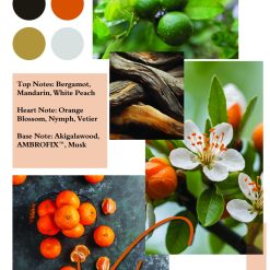 apa de parfum 100 ml