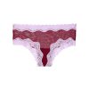 Vs tease mesh cheeky panties with lace l L-Imbracaminte-