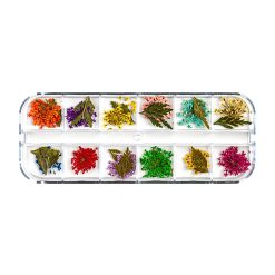 Flori Uscate Unghii LUXORISE Blissful Bloom 12 modele 2