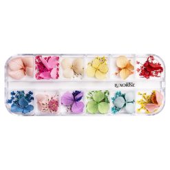 12 modele-Nail Art > Flori Naturale Uscate