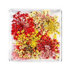 Flori Uscate Unghii LUXORISE Mystic Flowers 2