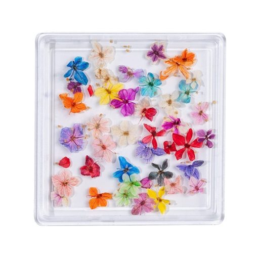 Flori Uscate Unghii LUXORISE - Rainbow Flowers-Nail Art > Flori Naturale Uscate