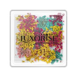 Flori Uscate Unghii LUXORISE - Summer Mirage-Nail Art  data-eio=