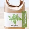 Noted set pentru cultivarea unei plante Cultivate & Eat - Dwarf Basil-Idei de cadouri