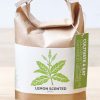 Noted set pentru cultivarea unei plante Cultivate & Eat- Lemon Scented Basil-Kit-uri DIY
