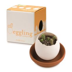 Noted set pentru cultivarea unei plante Eggling Prickly Cactus culoarea alb-Kit-uri DIY