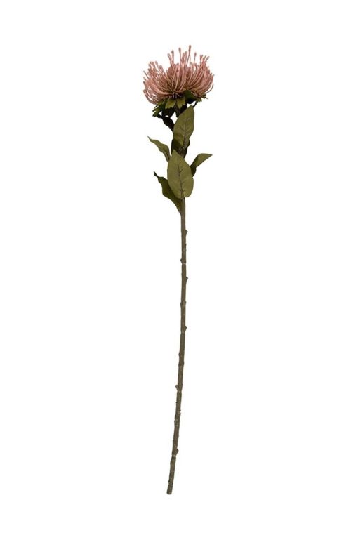 Present Time flori artificiale Protea Flower L-Decor