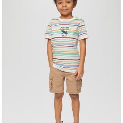 Tricou cu model in dungi-BAIETI/IMBRACAMINTE/Tricouri si maiouri-IMBRACAMINTE/Tricouri si maiouri